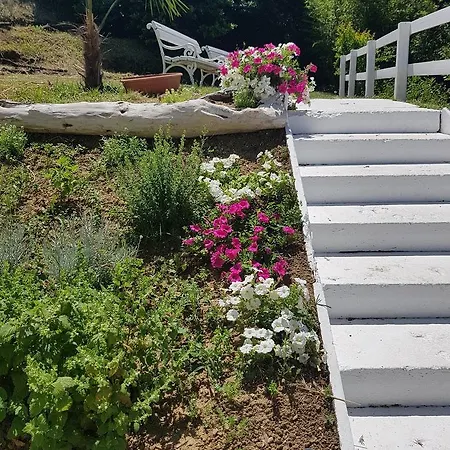 Casa Mia